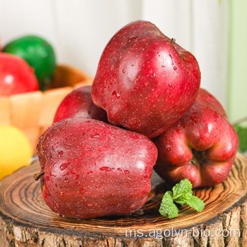 Sweet Fresh Huaniu Apple untuk Eksport